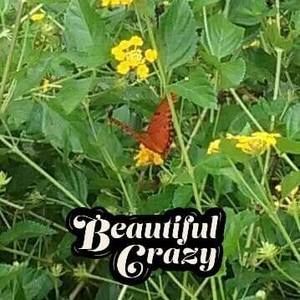 Meet your Posher, Stephenie